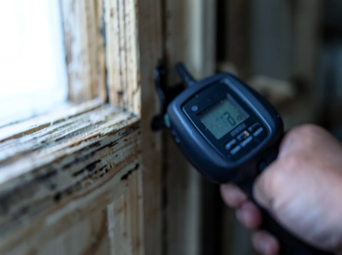 Moisture Inspection And Documentation in Isanti, MN